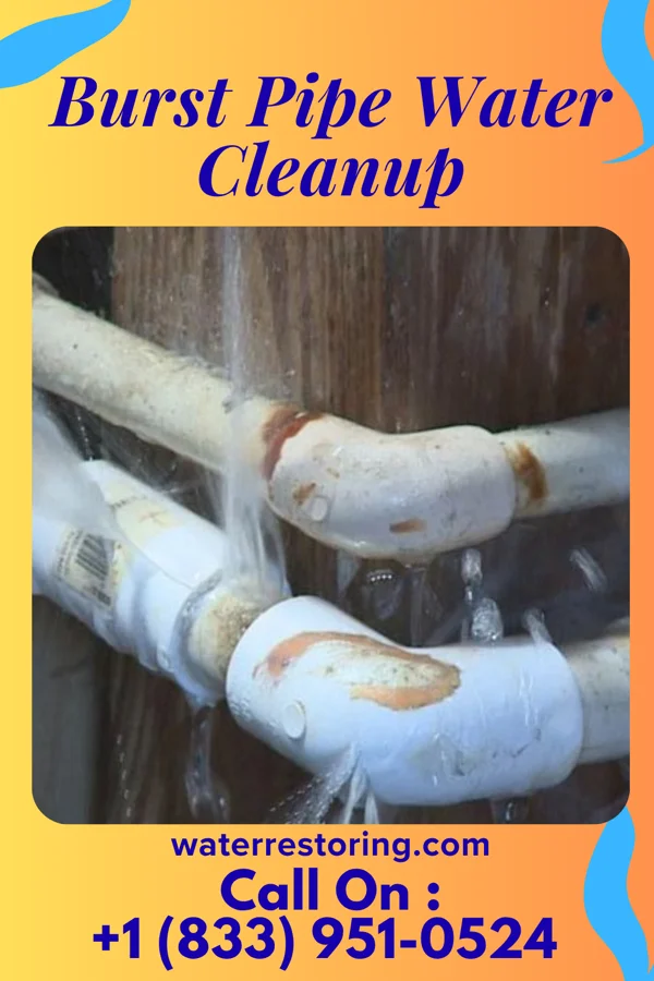 Burst Pipe Water Cleanup in Fredonia, WI