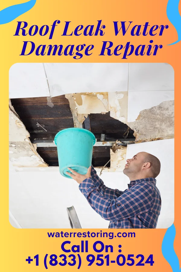 Roof Leak Water Damage Repair in Fredonia, WI
