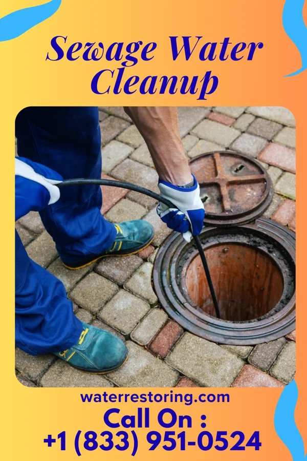 Sewage Water Cleanup in Fredonia, WI